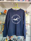 Sweat Hollister