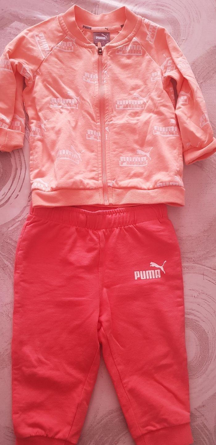 Ensemble puma