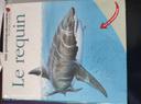 Livre le requin