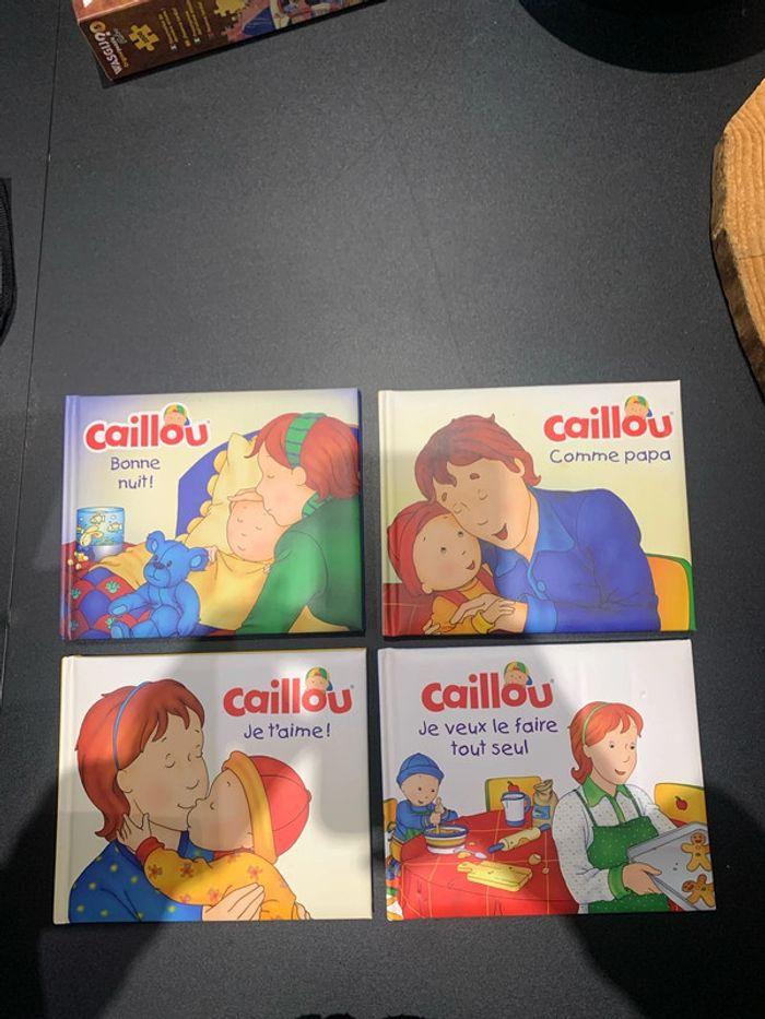 Livres caillou - photo numéro 1