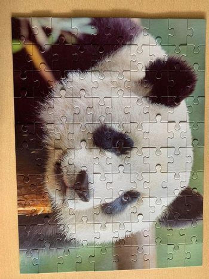 Puzzle animaux 4*100 pièces animaux exotiques - photo numéro 5