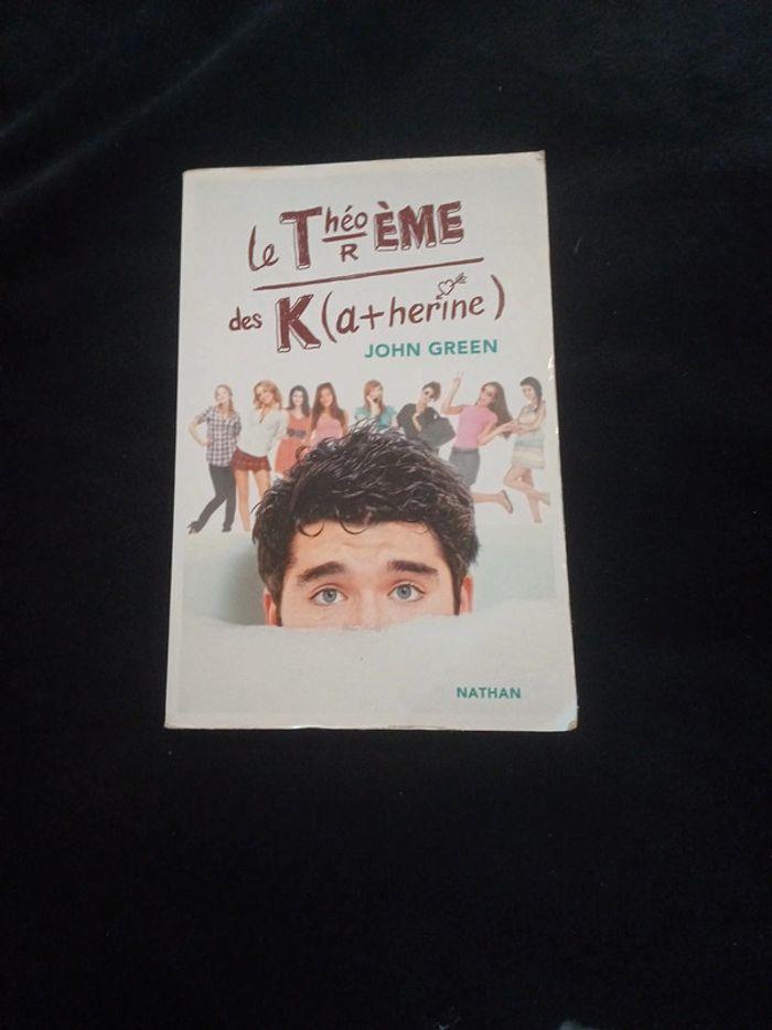 Le théorème des K atherine - photo numéro 1