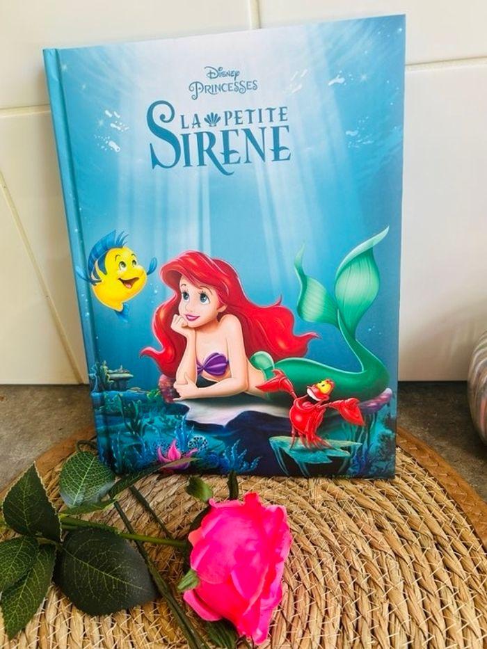 Livre disney ariel - photo numéro 1