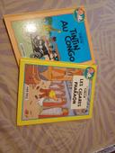 Lot de 2 BD Tintin Albums doubles