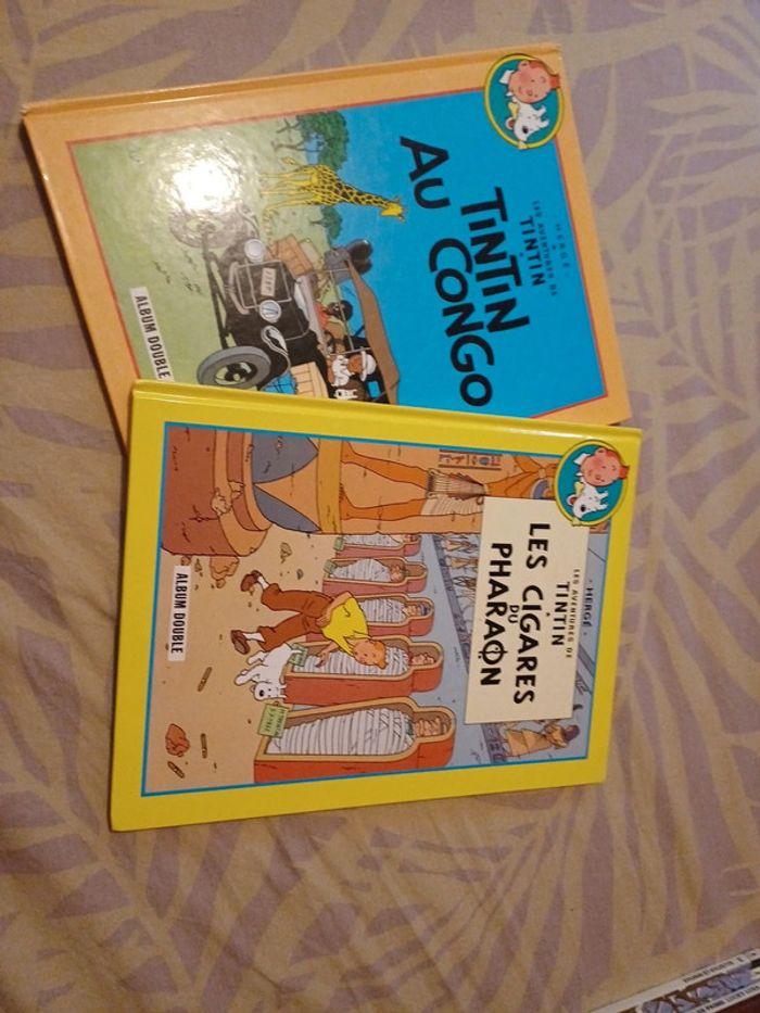 Lot de 2 BD Tintin Albums doubles - photo numéro 1