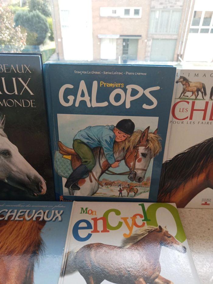 Lot de livres sur les chevaux - photo numéro 4