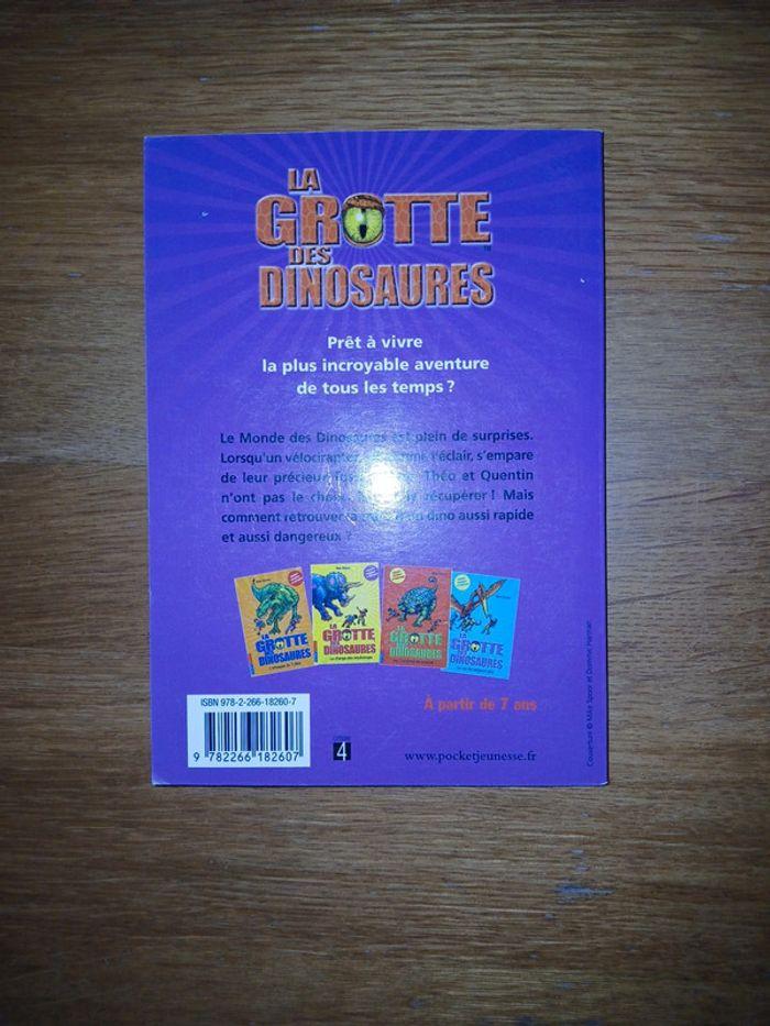 Lot la grotte des dinosaures - photo numéro 13