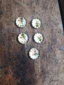 Lot de 5 cabochons