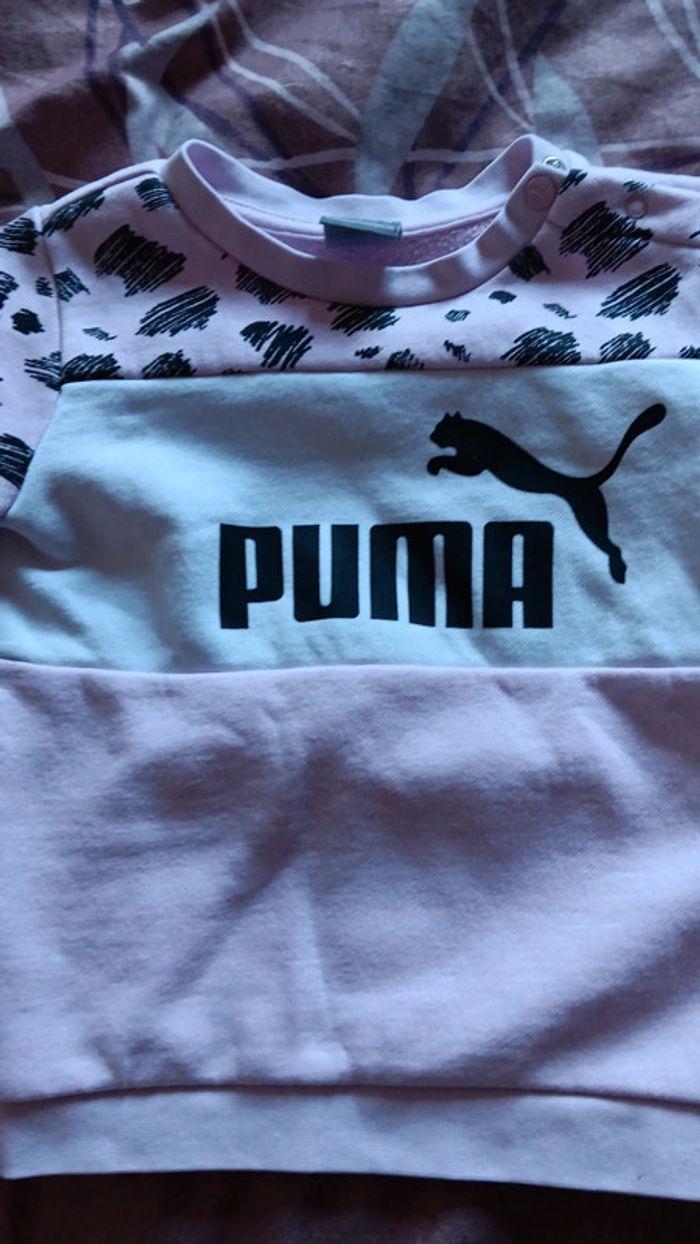 Ensembles Puma - photo numéro 3