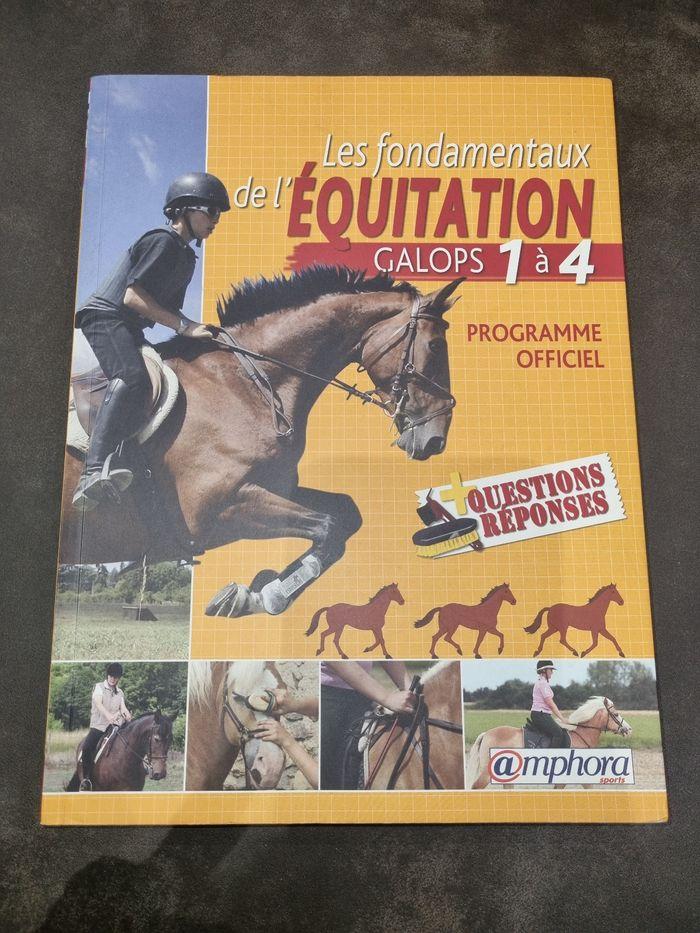 Equitation - photo numéro 1