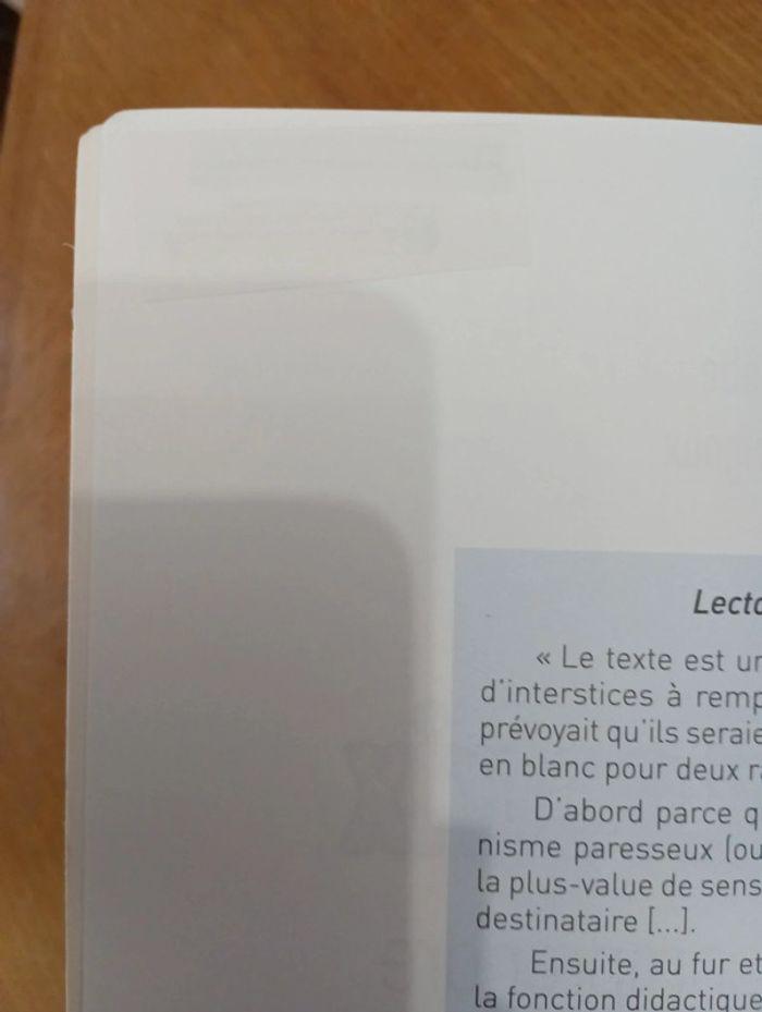 Lector et Lectrix apprendre à comprendre les textes narratifs CM1 CM2 6e et SEGPA - photo numéro 12