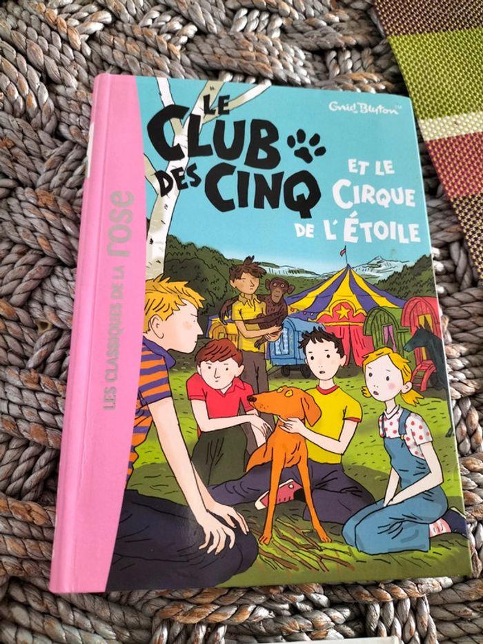 Lot de livre Club des cinq bibliothèque rose - photo numéro 5