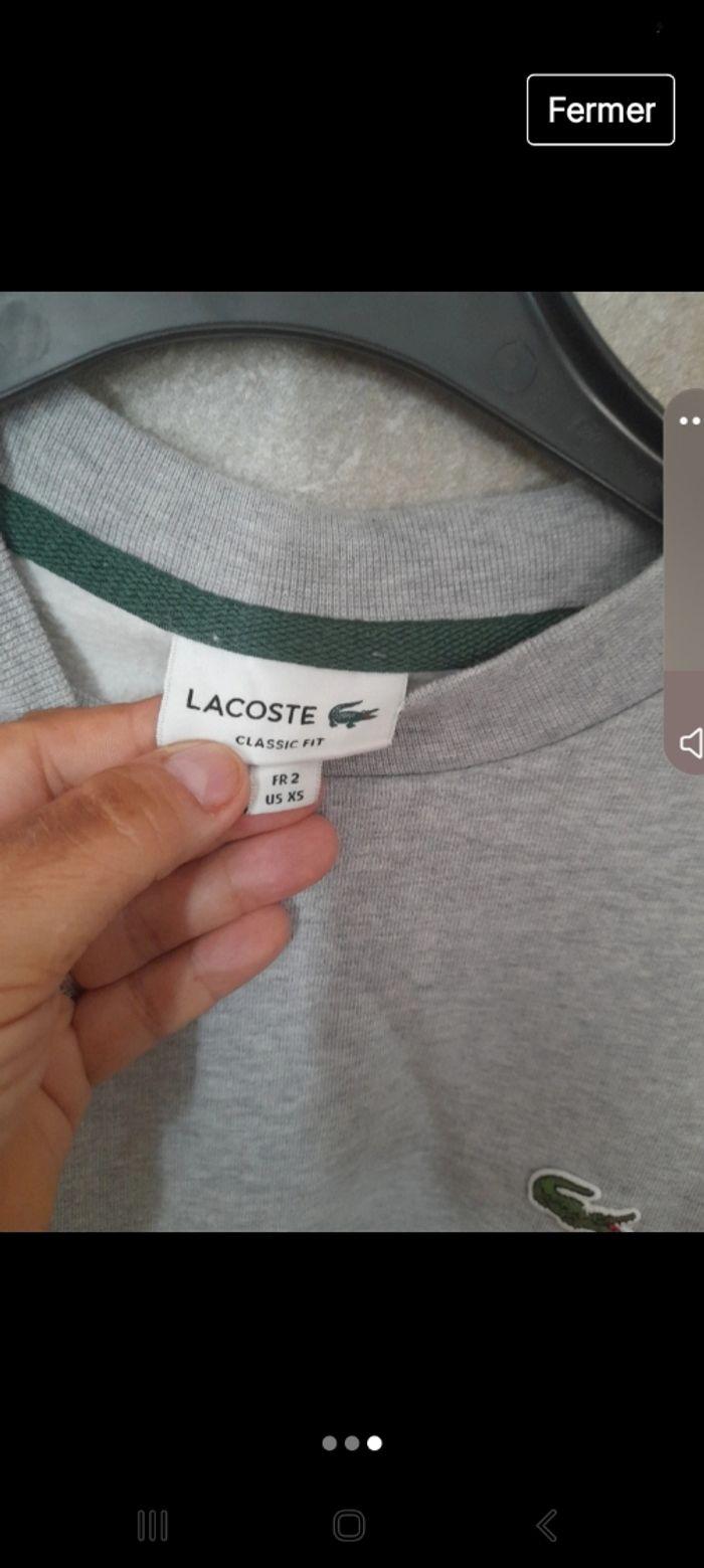 Sweat lacoste xs - photo numéro 3