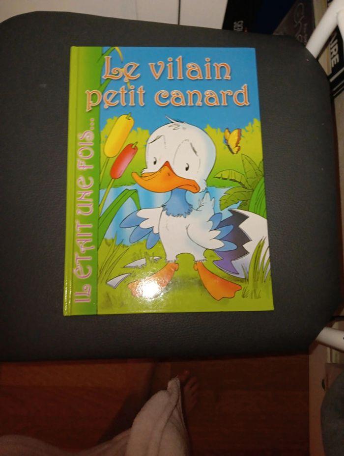 Le vilain petit canard - photo numéro 1