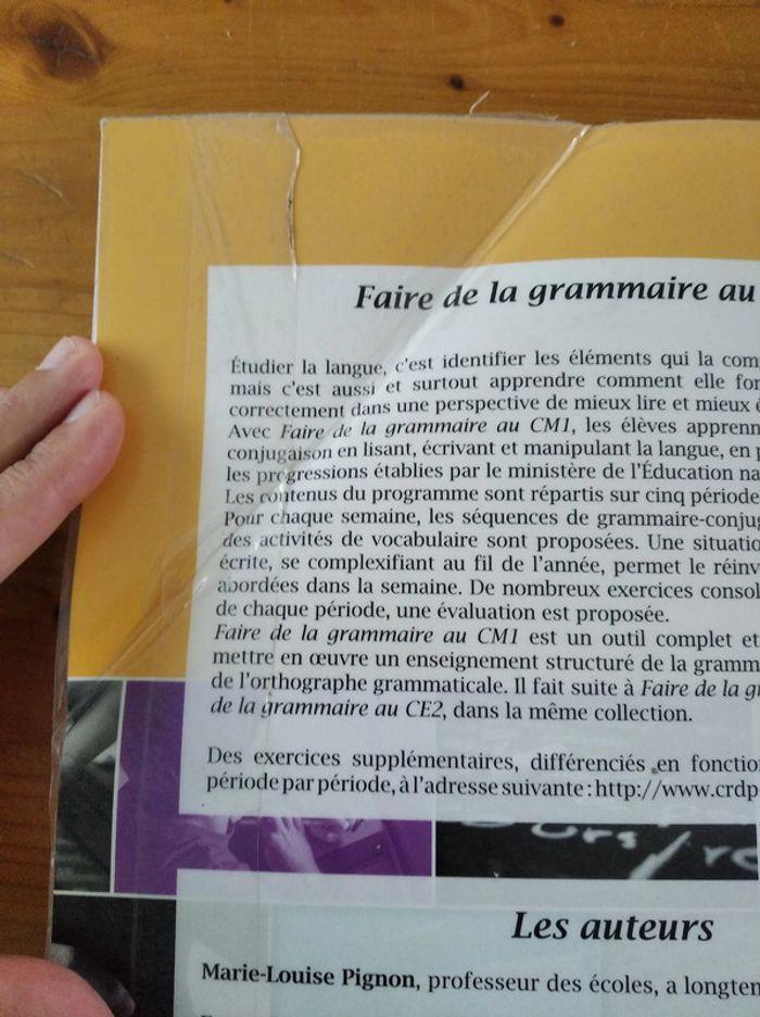 Faire de la grammaire au CM1 - photo numéro 3