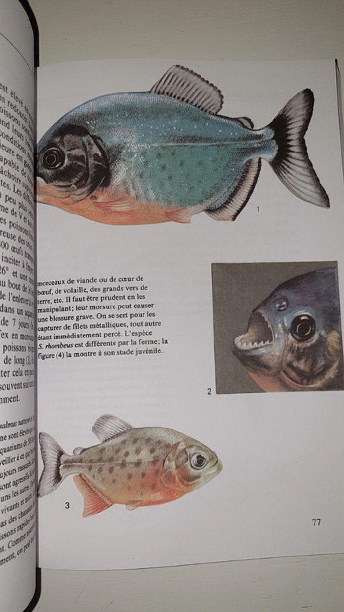 Livre poissons d aquarium - photo numéro 5