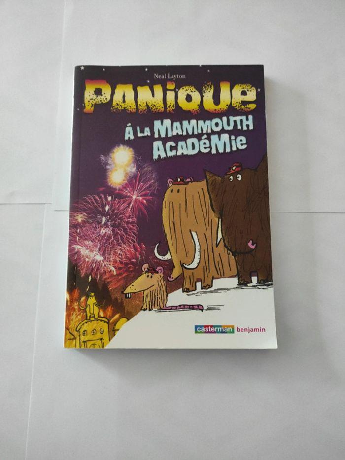 Livre panique à la mammouth académie - photo numéro 1