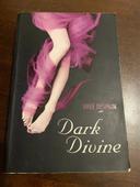 livre dark divine