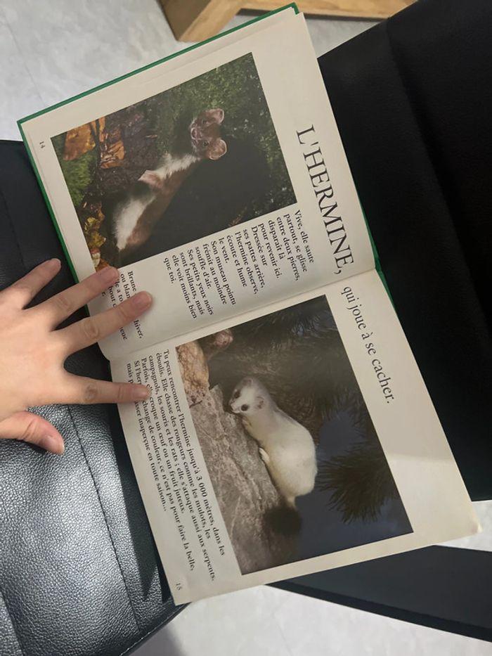 Livres les animaux de la montagne - photo numéro 3