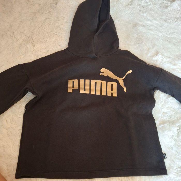 Pull puma - photo numéro 1