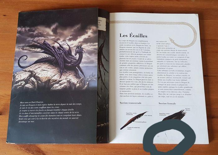 Le livre du dragon par Ciruelo - photo numéro 2