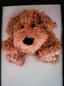 Peluche chien