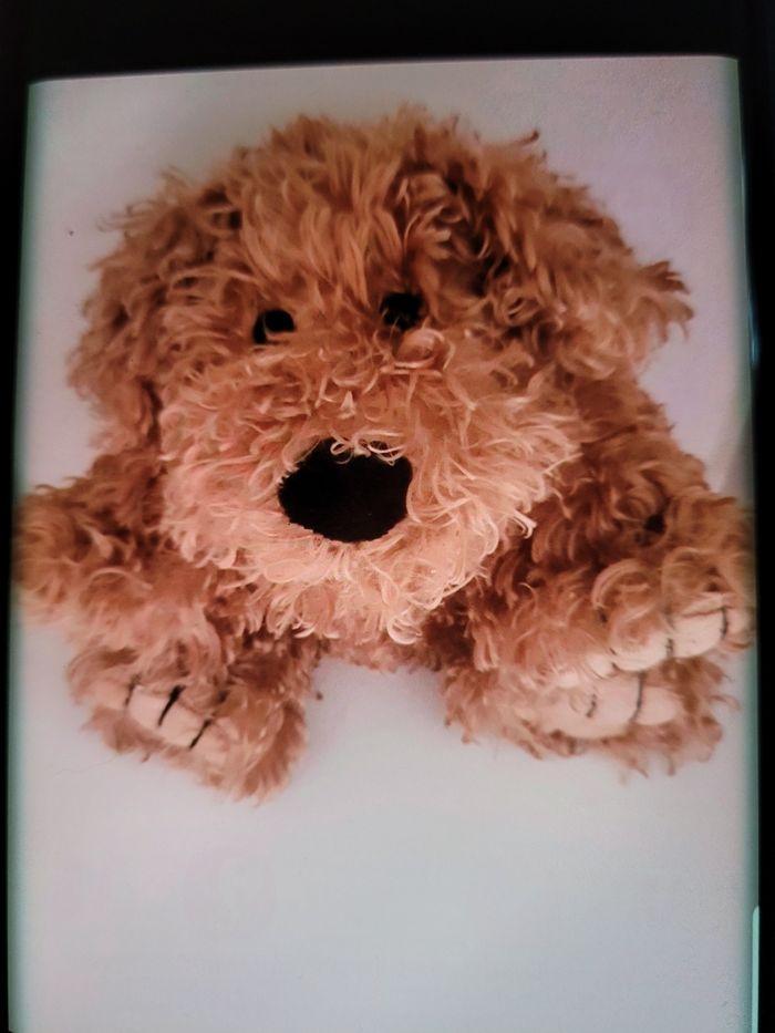 Peluche chien - photo numéro 1