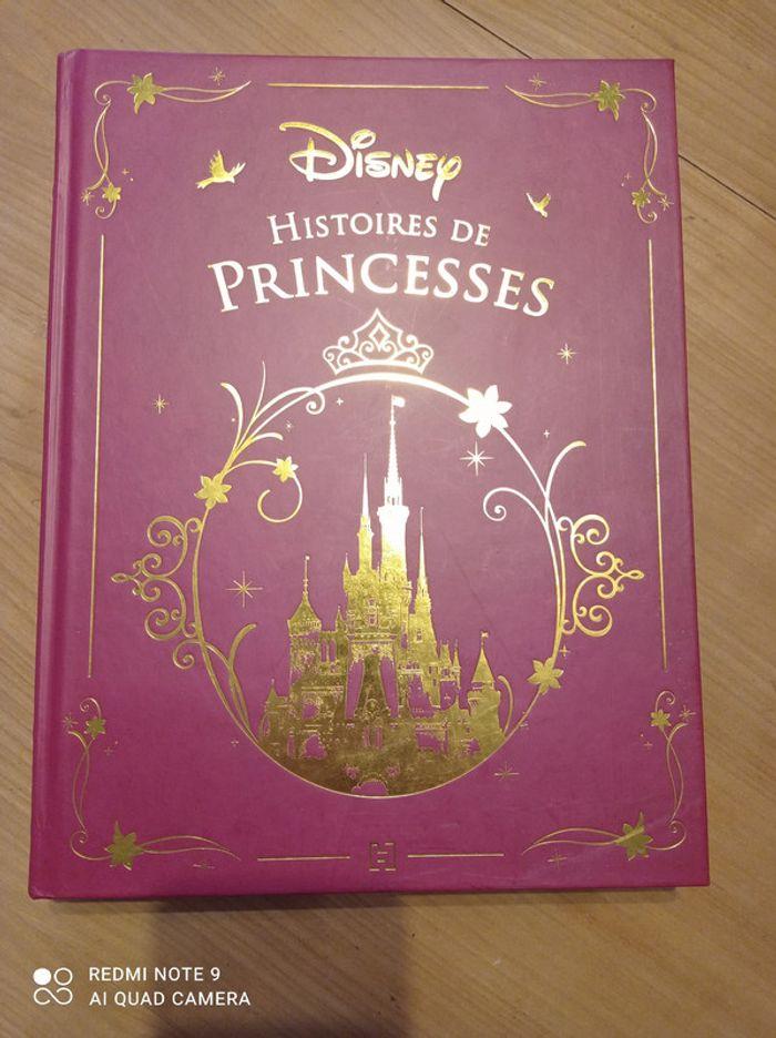 Livre princesses disney - photo numéro 1