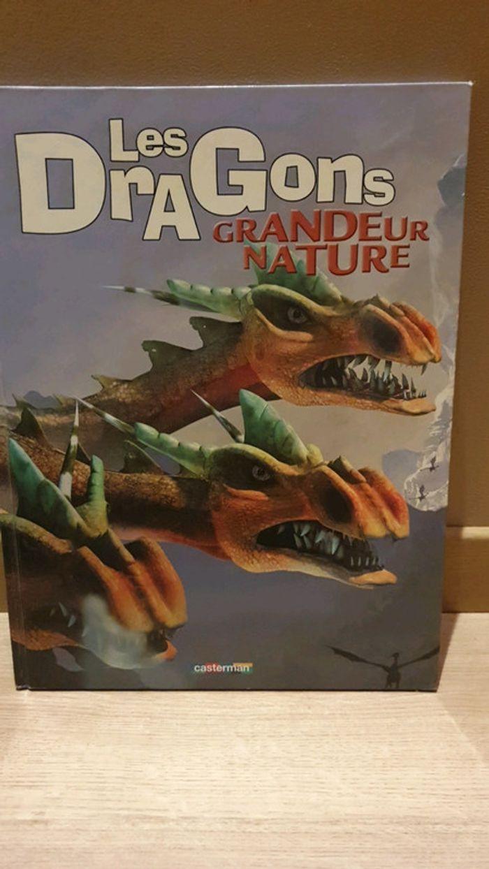 Superbe livre les dragons grandeur nature - photo numéro 1