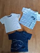 Lot 3 tee-shirts 3 mois