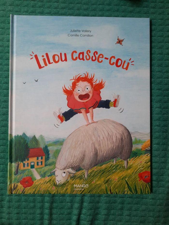 Livre Lilou casse-cou - photo numéro 1