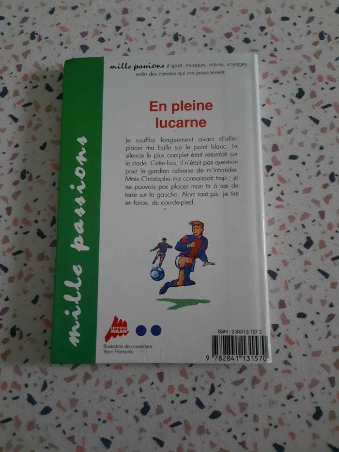 Livre: En pleine lucarne de Philippe Delerm - photo numéro 2