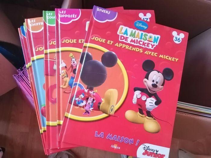 livre mickey ou princesse - photo numéro 1