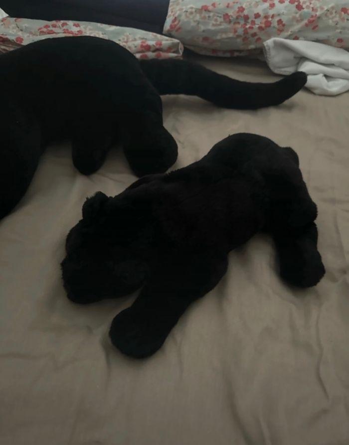 Lot de 2 peluches panthères noire - photo numéro 3