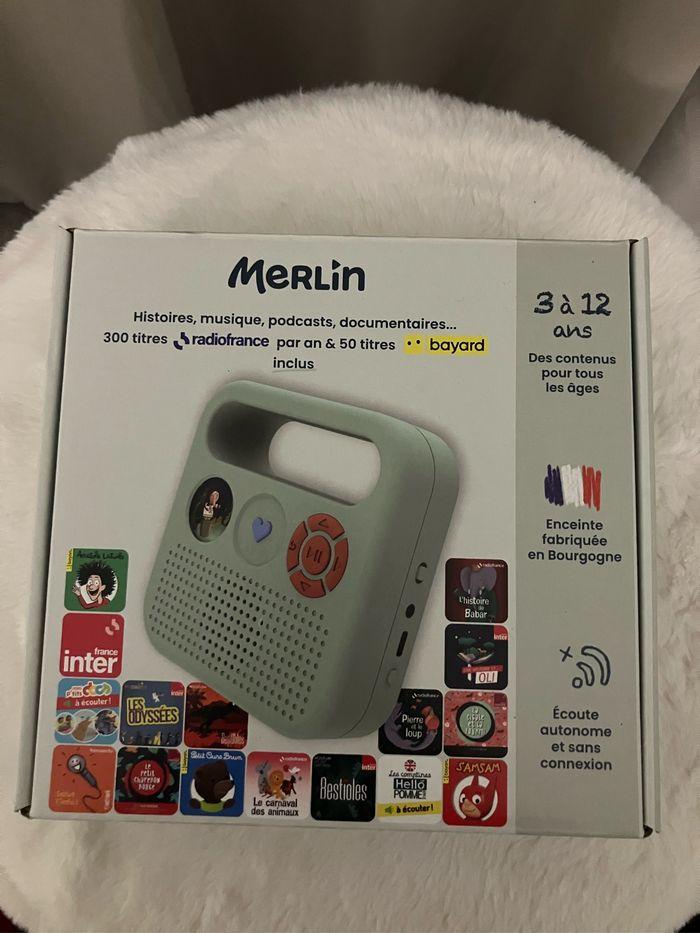 Conteuse Merlin - photo numéro 1