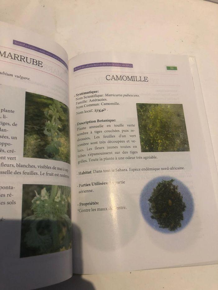 Receuil des plantes médicinales dans la region des Ziban livre nature - photo numéro 6