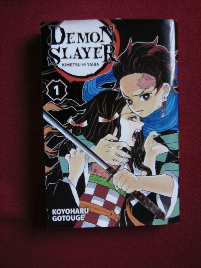 Manga Démon Slayer 1 - photo numéro 1