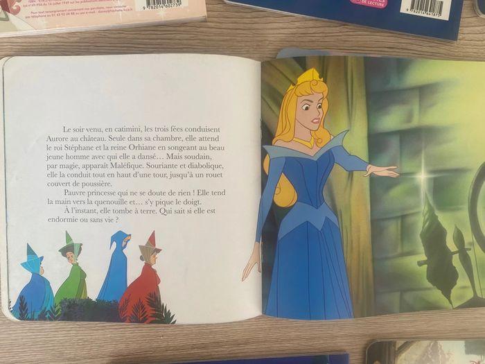 Lot livres diney princesses - photo numéro 3