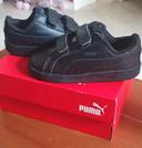 Basket puma