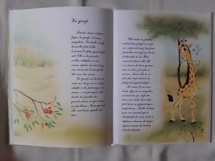 Livre enfant - Les animaux de la jungle - photo numéro 5