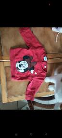 Pull rouge Disney