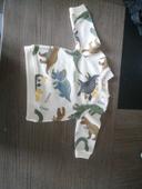 Pull  avec motif dinosaure