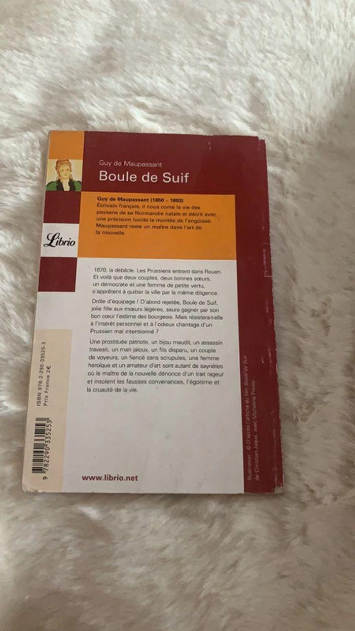 Boule de suif - photo numéro 2