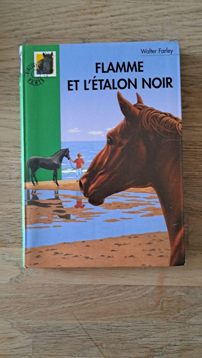 Livre - photo numéro 1