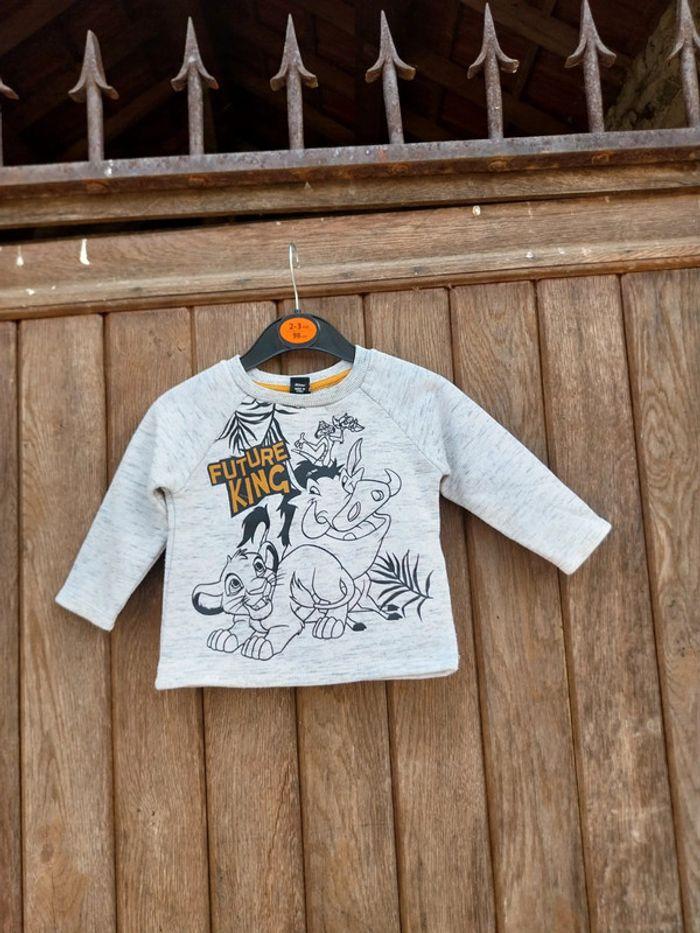 Pull bébé Disney 9.12 mois - photo numéro 1