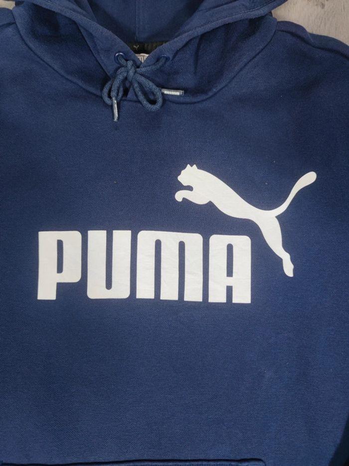 Sweat à Capuche Puma Bleu Marine Logo Floqué Blanc Taille S Homme - photo numéro 3