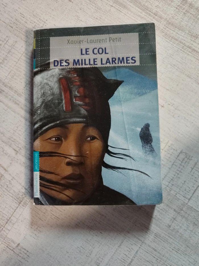 Livre le colis des mille larmes - photo numéro 1