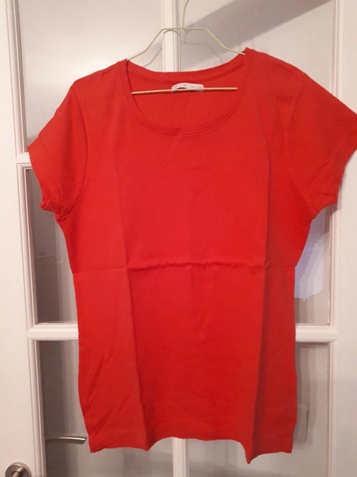 T shirt corail Gemo taille 2XL