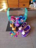 Coffret shimmer shine