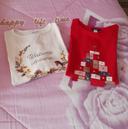 Lot 2 tee-shirts manches longues fillette